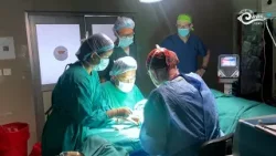 58 requeeche corectuve surgees in Monggar