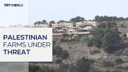 Palestinian farmland under threat by illegal Israeli settlers