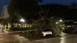 Informativo Fuengirola Televisión 05-02-2026