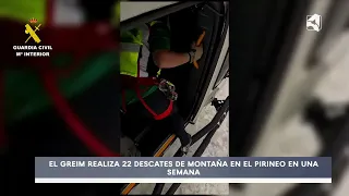 22 Pyrenees rescues in one week
