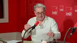 Des capacités cognitives des bovins - Le billet de François Morel