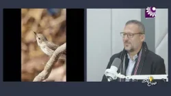 يصور الحياة البرية بعدسته مظهراً عظمة الخالق، تعرفوا على الشاب باسم موسى في برنامج صباح الخير