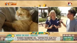 Vamo Arriba - El “efecto gato” y sus beneficios en adultos mayores