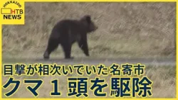 ハンターら　クマ１頭を駆除　親離れした若い個体　１８日から目撃相次いだ個体か　北海道・名寄市