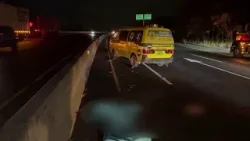 Dos fallecidos en accidentes de tránsito