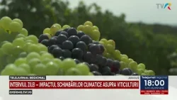 INTERVIUL ZILEI – IMPACTUL SCHIMBĂRILOR CLIMATICE ASUPRA VITICULTURII INTERVIUL ZILEI – IMPACTUL SCHIMBĂRILOR CLIMATICE ASUPRA VITICULTURII