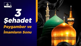 Haremin Sesi: Üç Şehadet: Peygamber, İmam Hasan ve İmam Rıza