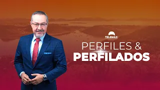 Perfiles y Perfilados