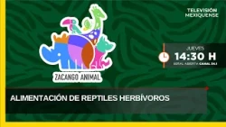 ZA23E0726 YOUTUBE
