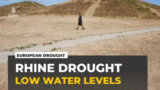 Drought disrupts Rhine shipping route: Low water levels threaten Europe's supply chains