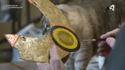 Volver a la raíces...