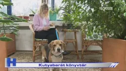 Kutyabarát könyvtár – ZTV Híradó 2026-02-04