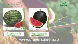 Agricultura la Raport Ovidiu Ghinea P1 10 02 2026 Agricultura la Raport Ovidiu Ghinea P1 10 02 2026