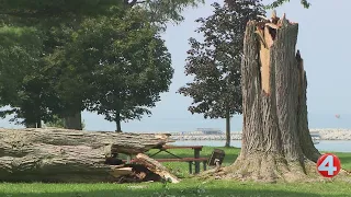 Storms leave widespread damage in Niagara County