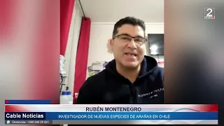 20 AGO 2026 Nueva tarántula descubierta en San Antonio lleva el nombre de un niño