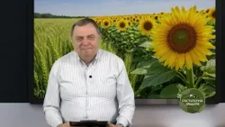 Растителна защита: Болести, плевели и нови молекули: как се променя растителната защита