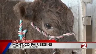 Montgomery County Fair Explainer: What's happening at this year's event?