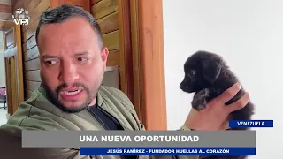 En medio de las estadisticas hay una esperanza de vida para miles de cachorros - 24Jul