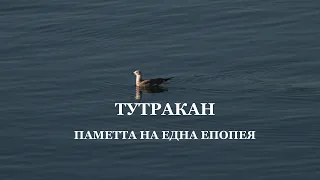 „Тутракан – паметта на една епопея“