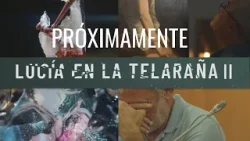 PRIMERAS IMÁGENES de la segunda temporada de LUCÍA EN LA TELARAÑA | RTVE Play