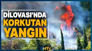 Breaking News: Forest Fire in Dilovası, Kocaeli! | NTV