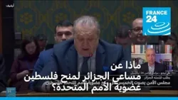 مجلس الأمن: ماذا عن مساعي الجزائر لمنح فلسطين عضوية الأمم المتحدة؟