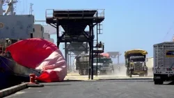 Aumentan exportaciones de azúcar, café y maní según la empresa portuaria