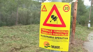 Més inversió per prevenir els incendis forestals