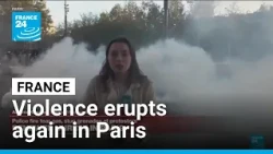 Protests in France: Police fire tear gas, stun grenades at protesters • FRANCE 24 English