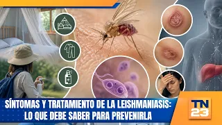 Symptoms and treatment of leishmaniasis: what you need to know to prevent it