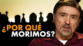 What does the Bible say about DEATH? - Dr. Armando Alducin - Enlace TV