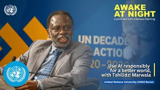 Use AI responsibly for a better world, with Tshilidzi Marwala | UNU Rector | Awake at Night