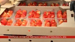 Արեւմտահայերէն լուրեր. Հոկտեմբեր 7. 2026