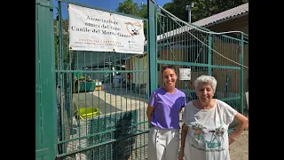 Landslides and extra costs, SOS from the Monte Gazzo dog shelter: "We are at risk of closing"