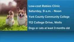 Недорогая клиника по вакцинации от бешенства в Уэллсе Недорогая клиника по вакцинации от бешенства в Уэллсе