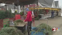 Getting rid of Christmas trees without cluttering landfills Getting rid of Christmas trees without cluttering landfills