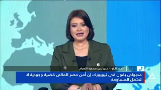 محمد الأنور : القضية الفلسطينية هي الشاهد الأبرز على الخلل القائم فى النظام الدولى