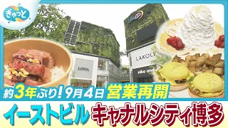 Canal City Hakata "East Bldg." Reopens After 3 Years! Full Details Revealed at Preview Event [Gyu...