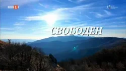 "Свободен" - "България от край до край", 03.03.2025