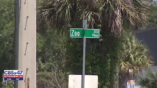 Safety concerns about Zoo Parkway continue after deadly crash