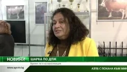 ШАРКА ПО ДПЖ: Време ли е за ваксинация ШАРКА ПО ДПЖ: Време ли е за ваксинация