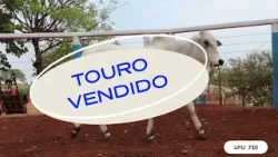 TOURO UFU 710