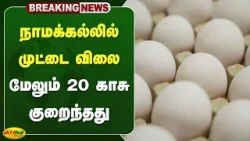 நாமக்கல்லில் முட்டை விலை மேலும் 20 காசு குறைந்தது | Namakkal | Egg Rate | Jaya Plus நாமக்கல்லில் முட்டை விலை மேலும் 20 காசு குறைந்தது | Namakkal | Egg Rate | Jaya Plus