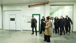 Свыше двух тысяч тонн грибов в год будут производить на ферме в СКО