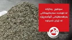 سونقوڕ  یەکێکە لە ناوەندە سەرەکییەکانی بەرهەمهێنانی گوڵەبەڕۆژە لە ئێران ناسراوە