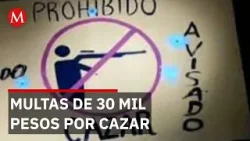 Imponen multas de 30 mil pesos contra la caza furtiva en Hidalgo