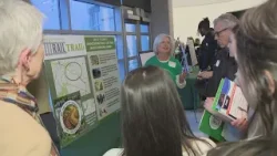 Local nonprofits compete for $100 thousand grant