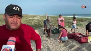Carrizal de Cinta Larga Sea Turtle Camp Remains Active Through Volunteer Support