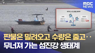 Seomjin River Drained for Agricultural and Industrial Use: Fishermen in the Estuary in a 'Water W...