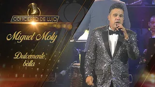 [Concierto De Lujo] – Miguel Moly – Dulcemente Bella